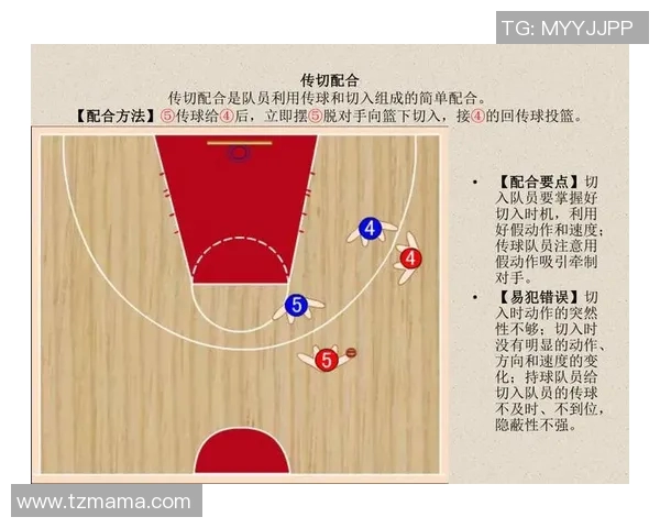 深入分析成都篮球队独特的防守策略与战术执行 深入分析成都篮球队独特的防守策略与战术执行