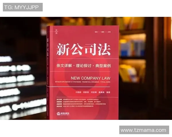 北京排球队的战术解析与控制能力深度探讨