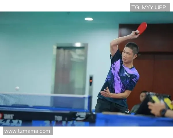 南京乒乓球队个人能力深度剖析与发展潜力探讨