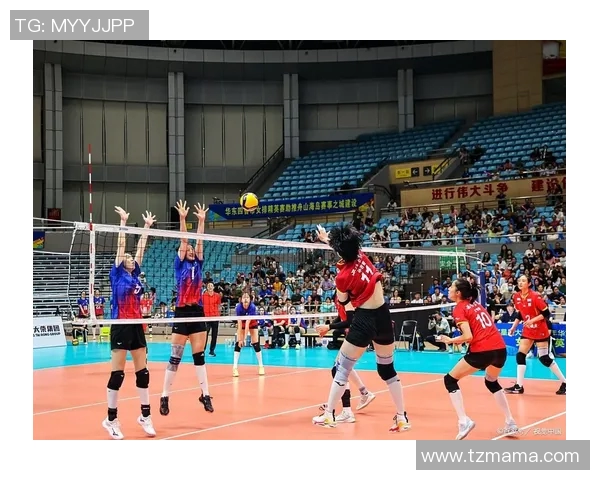 南京排球队反击战术解析与深度剖析排球竞技的魅力与挑战