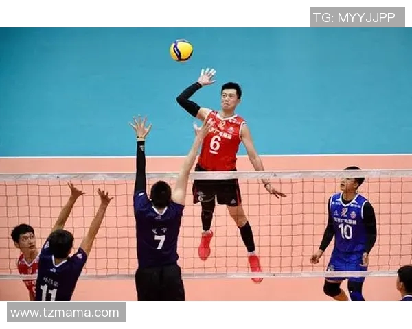 南京排球队的奋斗历程与荣耀瞬间全景纪实