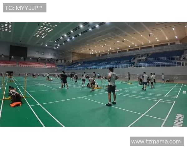 羽毛球盛宴：深入解析南京羽毛球队的实力与发展之路