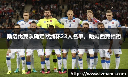 Bsports体育