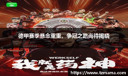 Bsports体育