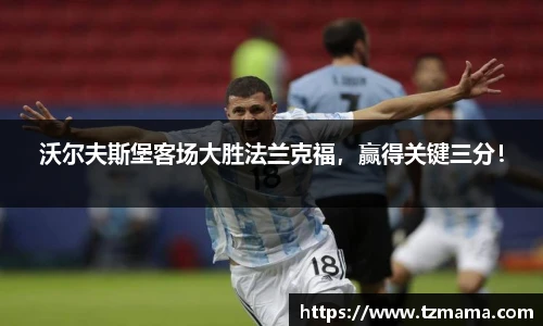 Bsports体育