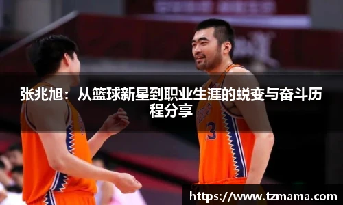 Bsports必一体育